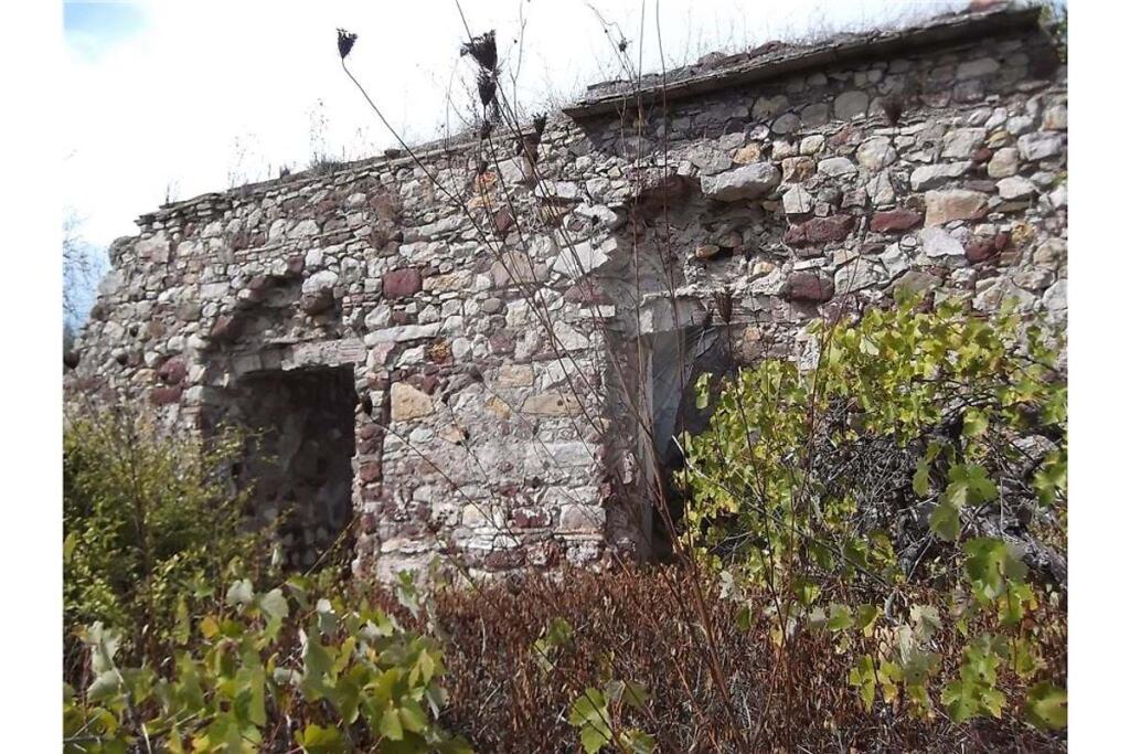 1 bedroom Villa in Santa Catarina da Fonte do Bispo, Portugal No. 163899