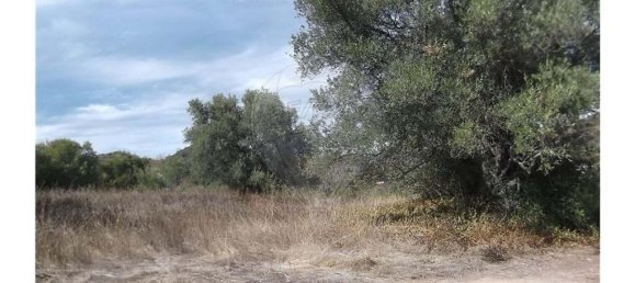 1 bedroom Villa in Santa Catarina da Fonte do Bispo, Portugal No. 163899 15