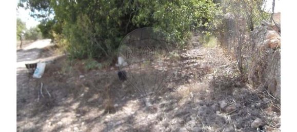 1 bedroom Villa in Santa Catarina da Fonte do Bispo, Portugal No. 163899 8