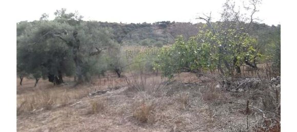 1 bedroom Villa in Santa Catarina da Fonte do Bispo, Portugal No. 163899 22