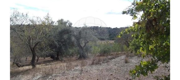 1 bedroom Villa in Santa Catarina da Fonte do Bispo, Portugal No. 163899 20