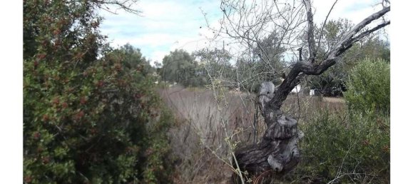 1 bedroom Villa in Santa Catarina da Fonte do Bispo, Portugal No. 163899 18