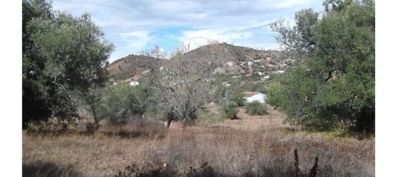 1 bedroom Villa in Santa Catarina da Fonte do Bispo, Portugal No. 163899 14