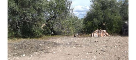 1 bedroom Villa in Santa Catarina da Fonte do Bispo, Portugal No. 163899 17