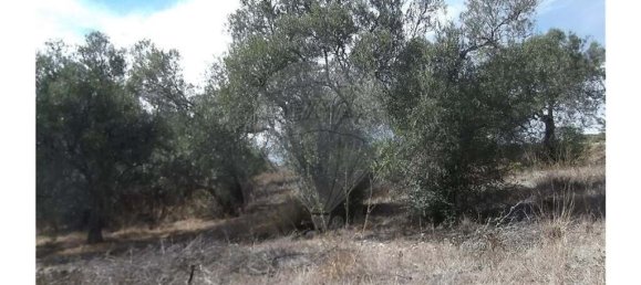 1 bedroom Villa in Santa Catarina da Fonte do Bispo, Portugal No. 163899 10