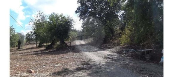 1 bedroom Villa in Santa Catarina da Fonte do Bispo, Portugal No. 163899 9