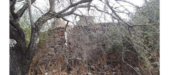 1 bedroom Villa in Santa Catarina da Fonte do Bispo, Portugal No. 163899 5