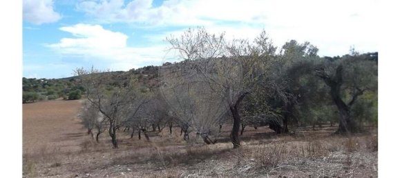 1 bedroom Villa in Santa Catarina da Fonte do Bispo, Portugal No. 163899 19