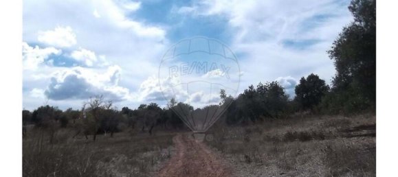 1 bedroom Villa in Santa Catarina da Fonte do Bispo, Portugal No. 163899 12