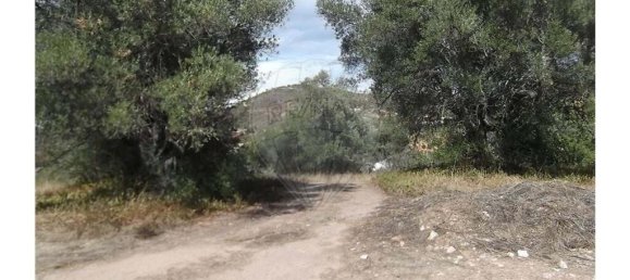 1 bedroom Villa in Santa Catarina da Fonte do Bispo, Portugal No. 163899 16