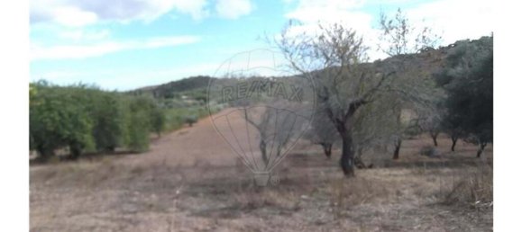 1 bedroom Villa in Santa Catarina da Fonte do Bispo, Portugal No. 163899 21