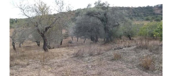 1 bedroom Villa in Santa Catarina da Fonte do Bispo, Portugal No. 163899 23