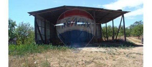 Terrain à Guia, Portugal 126810m² No. 43041 4