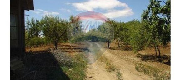 Terrain à Guia, Portugal 126810m² No. 43041 5