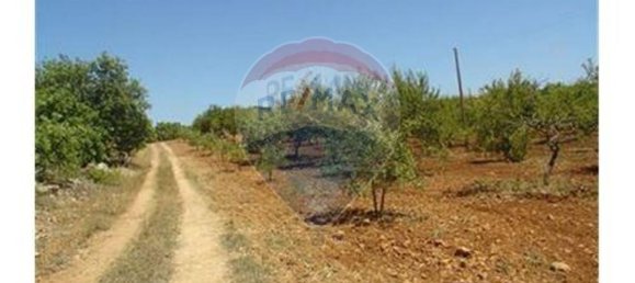 Terrain à Guia, Portugal 126810m² No. 43041 7