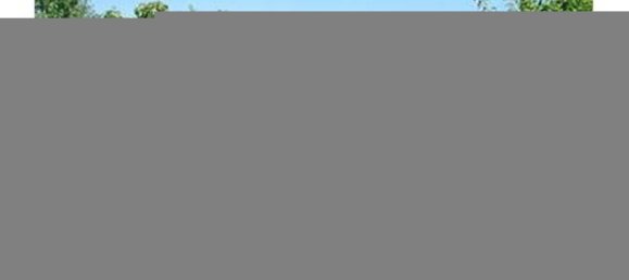 Terrain à Guia, Portugal 126810m² No. 43041 3