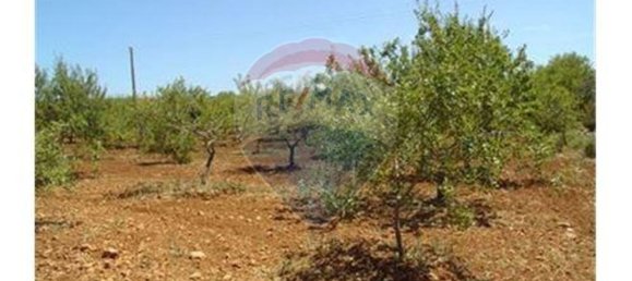 Terrain à Guia, Portugal 126810m² No. 43041 6