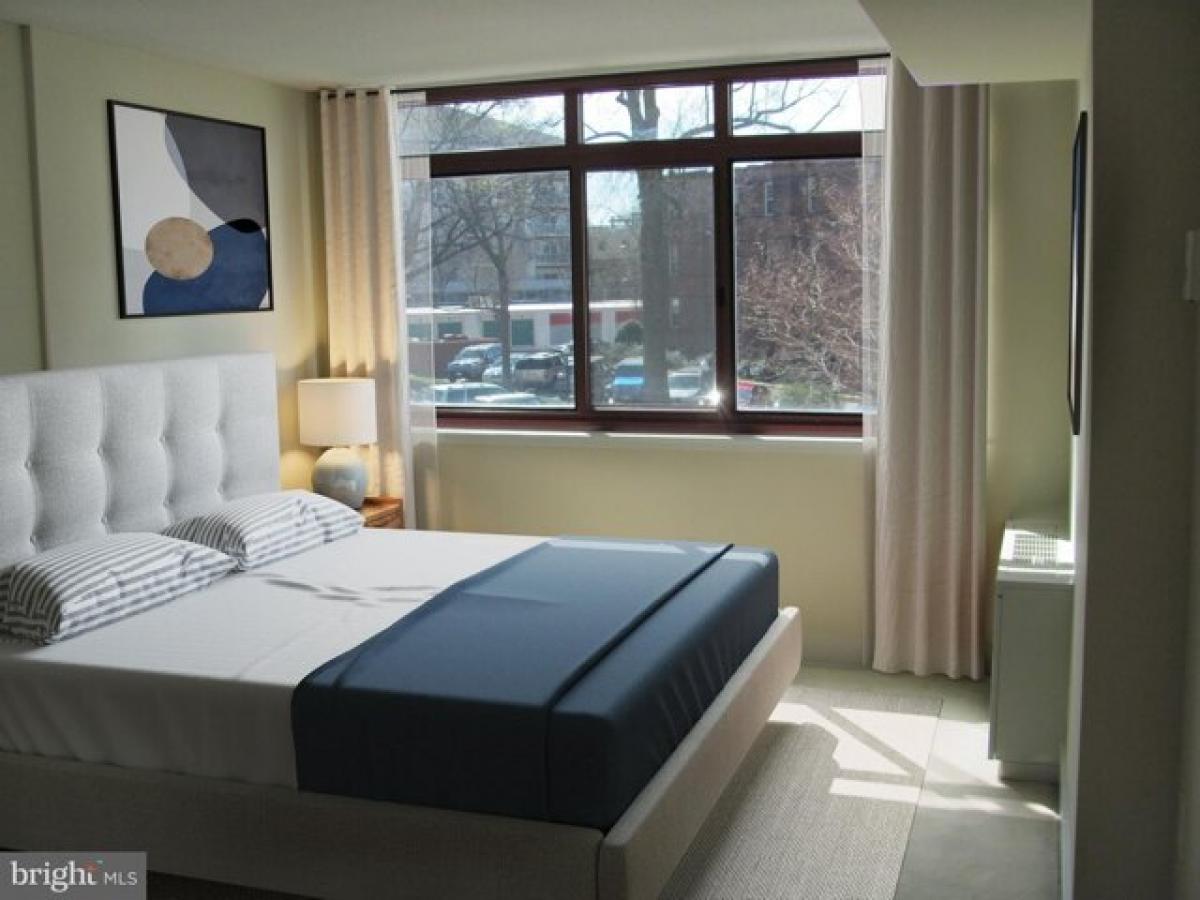 Studio in Silver Spring, USA No. 388979