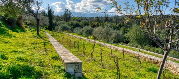 5 Schlafzimmer Villa in Chania, Greece, Nr. 8857 21