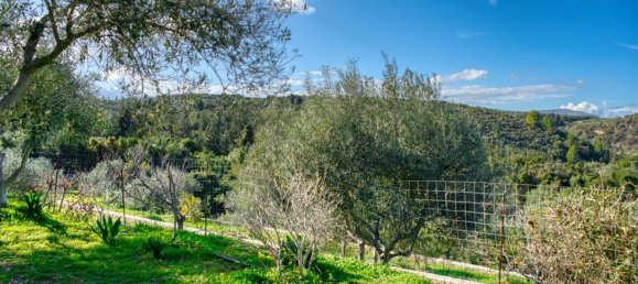 5 Schlafzimmer Villa in Chania, Greece, Nr. 8857 19