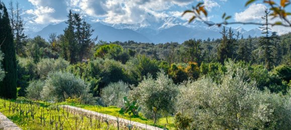 5 bedrooms Villa for sale in Chania, Crete, Greece № 8857 24