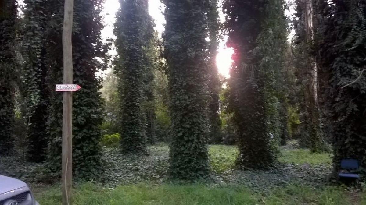  قطعة أرض في Mar del Plata, Argentina رقم 114640