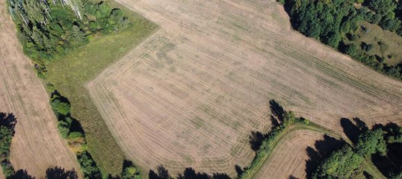 Земельный участок в Регенсбург, Германия № 270291 4