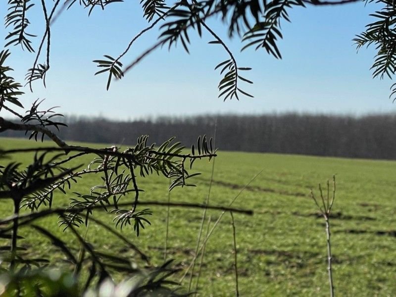 Terrain à Landsberg am Lech, Germany No. 157032