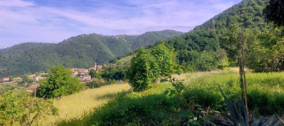 12 rooms House in Fosciandora, Italy No. 148642 8