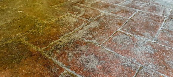 12 rooms House in Fosciandora, Italy No. 148642 22