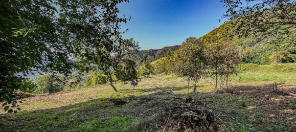 12 rooms House in Fosciandora, Italy No. 148642 14