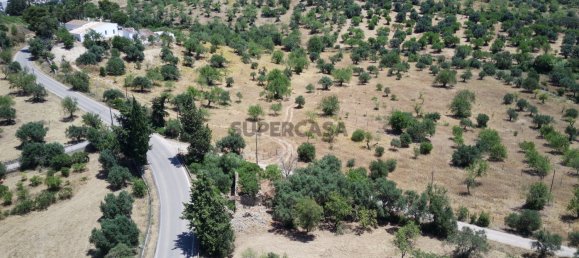4 bedrooms Land in Santa Catarina da Fonte do Bispo, Portugal No. 160901 3