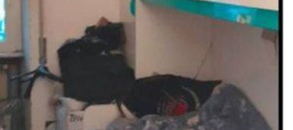 3 bedrooms Apartment in Bracciano, Italy No. 376104 14