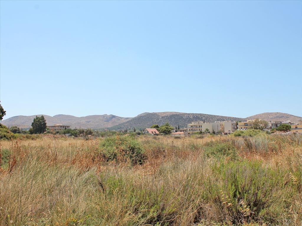 855m² Hotel in Anavyssos, Greece No. 7671