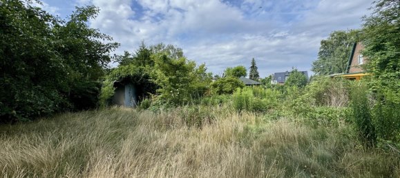 قطعة أرض في Barnim, Germany رقم 253408 5