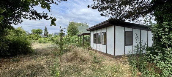 قطعة أرض في Barnim, Germany رقم 253408 8