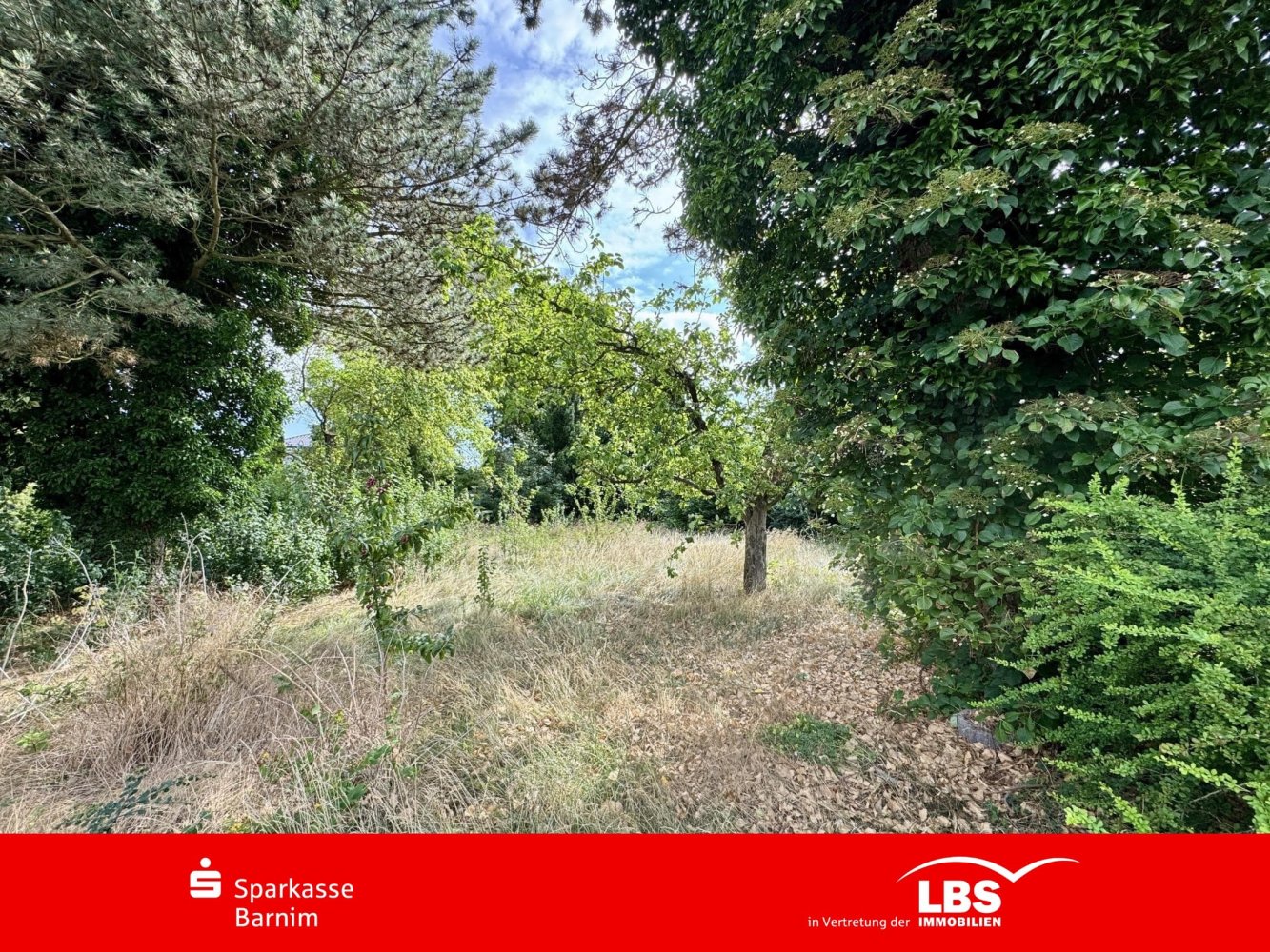  قطعة أرض في Barnim, Germany رقم 253408