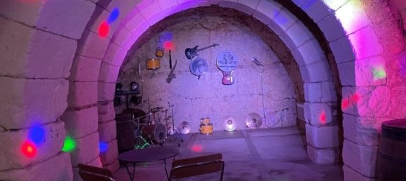 14 chambres Maison à Loir-et-Cher, France No. 58202 6