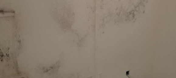 2 bedrooms Apartment in Mallorca, Spain No. 176868 9