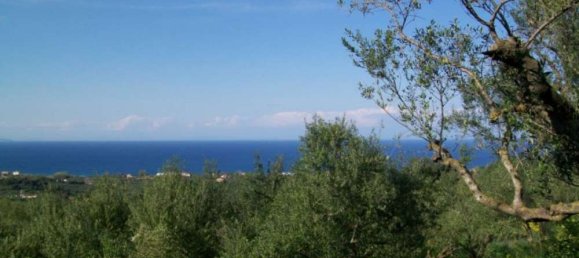 Terra em Zakynthos, Greece N.º 810 8