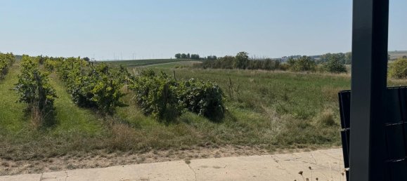  Land in Alzey-Worms, Germany No. 335816 5