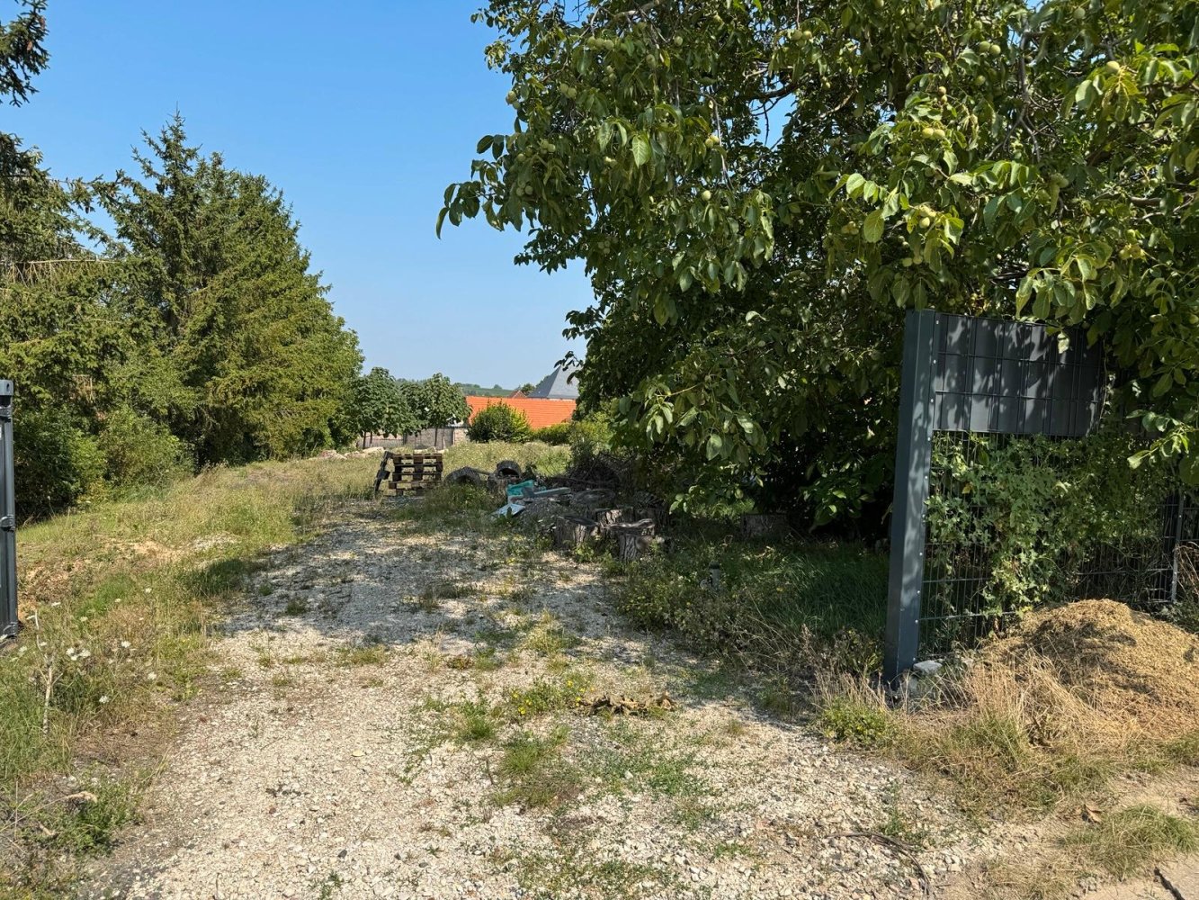  Land in Alzey-Worms, Germany No. 335816