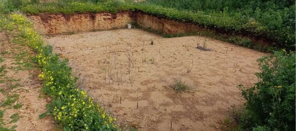 3غرفة فيلا في Mazara del Vallo, Italy رقم 167913 7