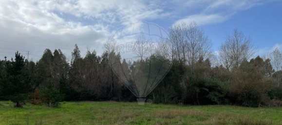 5700m² Land in Lavos, Portugal No. 76620 4