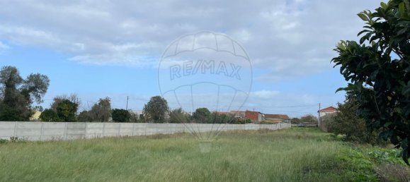 5700m² Land in Lavos, Portugal No. 76620 7