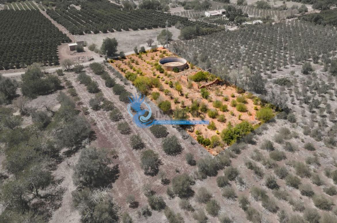 Grundstück in Silves, Portugal 216m², Nr. 206824