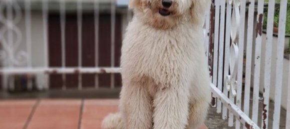 5 rooms House in Monzuno, Italy No. 262108 7