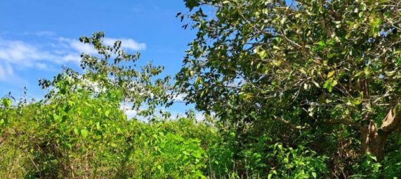 Terrain à South Kuta, Indonesia 2000m² No. 3987 8