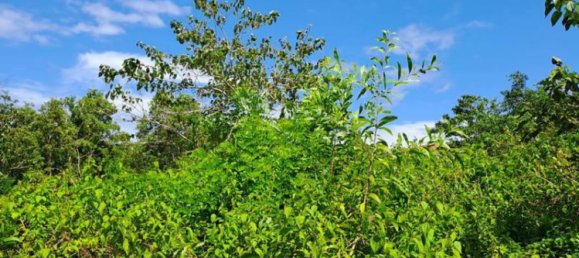 Terrain à South Kuta, Indonesia 2000m² No. 3987 4