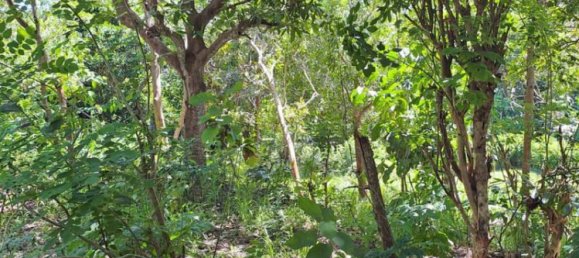 Terrain à South Kuta, Indonesia 2000m² No. 3987 2